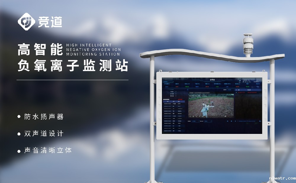 大气负氧离子监测系统
