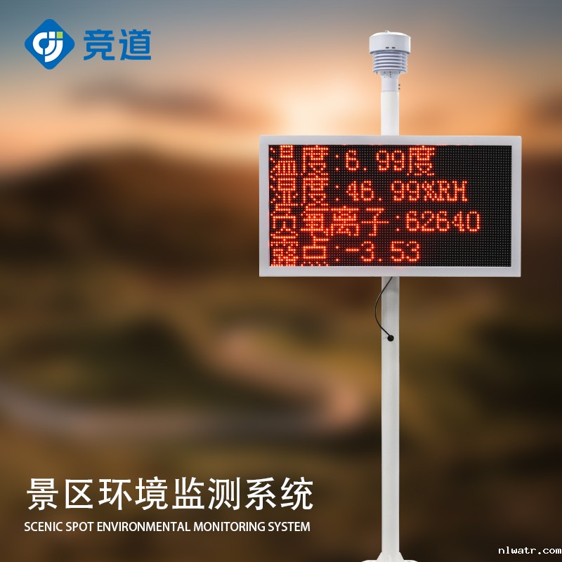 负离子监测系统