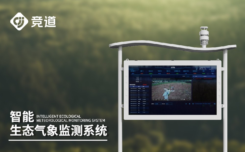 大气负离子监测系统