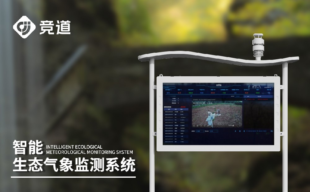 大气负离子监测系统